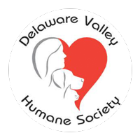 dvhs-logo